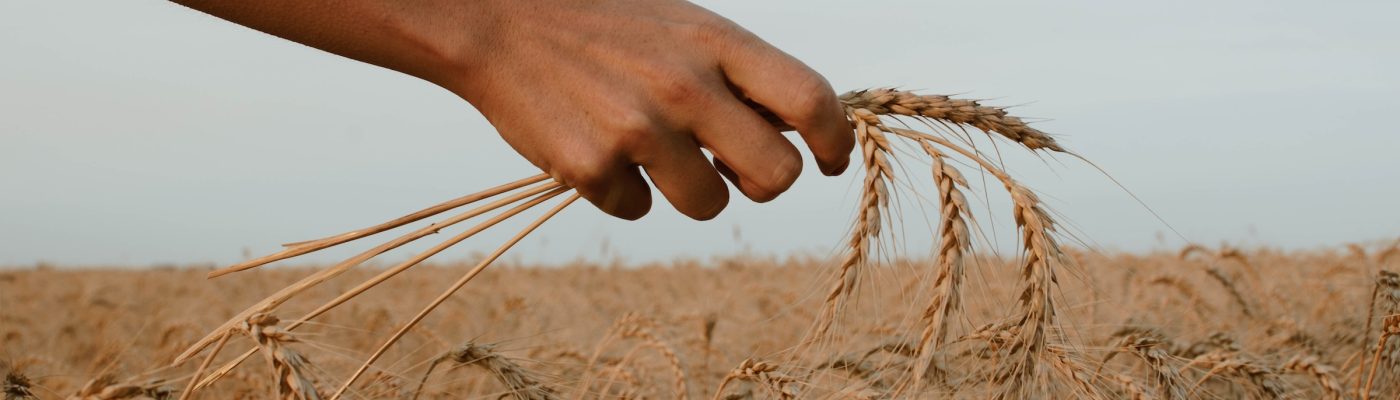 paz-arando-zwZusrYAGoM-unsplash